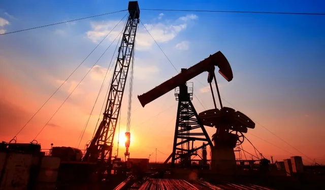 "BRENT PETROL 94,96 DOLARDAN İŞLEM GÖRÜYOR"