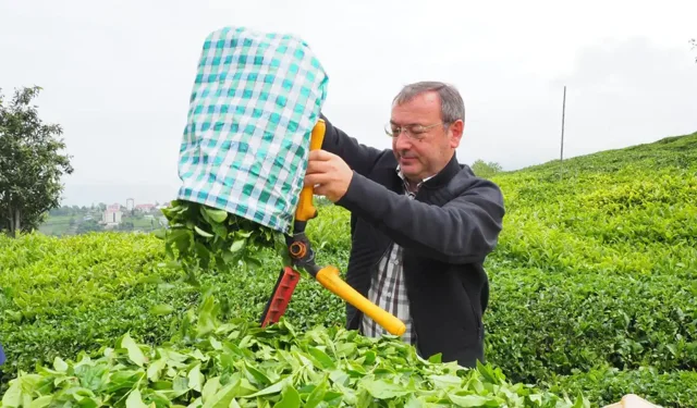 “ÇAYKUR GENEL MÜDÜRÜ YUSUF ZİYA ALİM, ÇAYKUR İŞÇİLERİNİN KADRO BEKLENTİSİ İÇİN KONUŞTU”