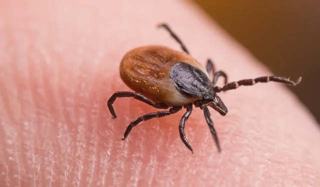 "KKKA ŞÜPHESİ 21 YAŞINDAKİ GENÇ HAYATINI KAYBETTİ"