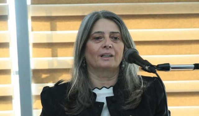 "CHP'Lİ SİBEL SUİÇMEZ "İLAYDA ZORLU" DOSYASINI MECLİS'E TAŞIDI"