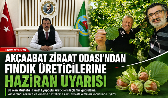 AKÇAABAT ZİRAAT ODASI’NDAN FINDIK ÜRETİCİLERİNE HAZİRAN AYI UYARISI