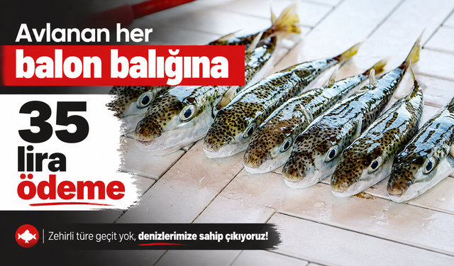 AVLANAN HER BALON BALIĞINA 35 LİRA ÖDEME