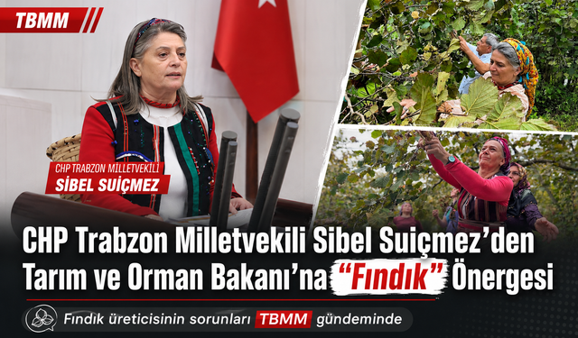 CHP TRABZON MİLLETVEKİLİ SİBEL SUİÇMEZ’DEN TARIM VE ORMAN BAKANI’NA "FINDIK" ÖNERGESİ: