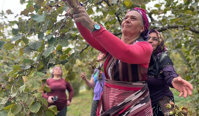 Suiçmez’den Fındık İçin 350 TL Çağrısı