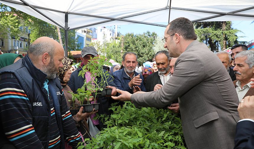 "AKÇAABAT BELEDİYESİ 10 BİN ADET SEBZE FİDAN DAĞITTI"