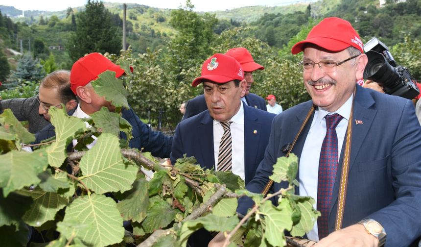"BAŞKAN GENÇ’TEN FINDIKTA KALİTE VE VERİM ÇAĞRISI"