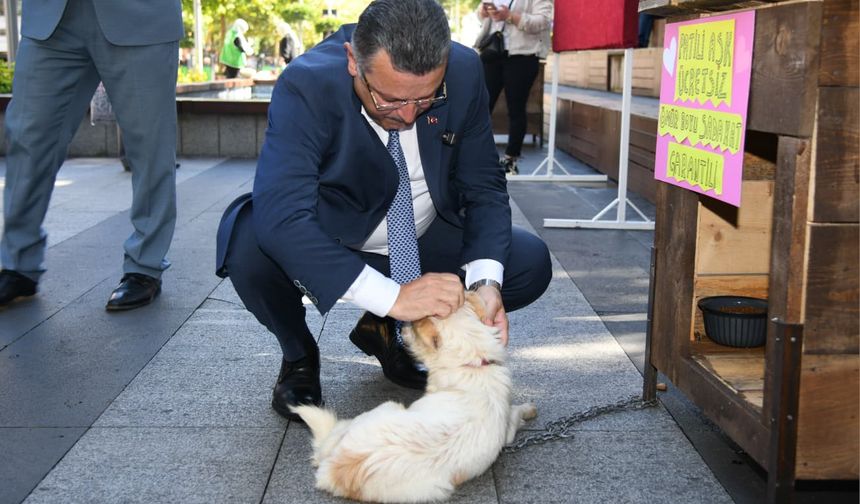 “SOKAKTA YAŞAYAN HER CANLININ SAHİBİ OLMALI”