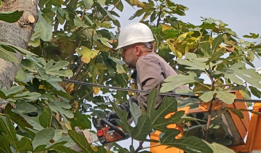 "BÜYÜKŞEHİR'DEN SONBAHAR TEMİZLİĞİ"