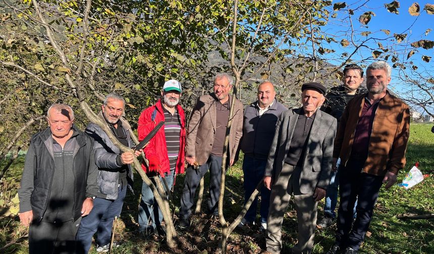 "AKÇAABAT ZİRAAT ODASI’NDAN FINDIK ÜRETİCİLERİNE EĞİTİM SEFERBERLİĞİ"