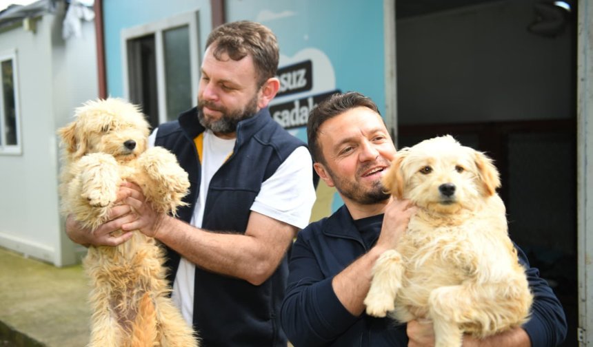 "ORTAHİSAR BELEDİYESİ’NDEN ‘DÜNYA SOKAK HAYVANLARI GÜNÜ’NDE ANLAMLI ÇAĞRI"