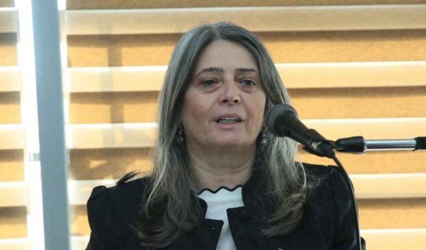 "CHP'Lİ SİBEL SUİÇMEZ "İLAYDA ZORLU" DOSYASINI MECLİS'E TAŞIDI"