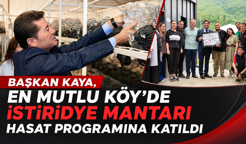 BAŞKAN KAYA, EN MUTLU KÖY'DE İSTİRİDYE MANTARI HASAT PROGRAMINA KATILDI