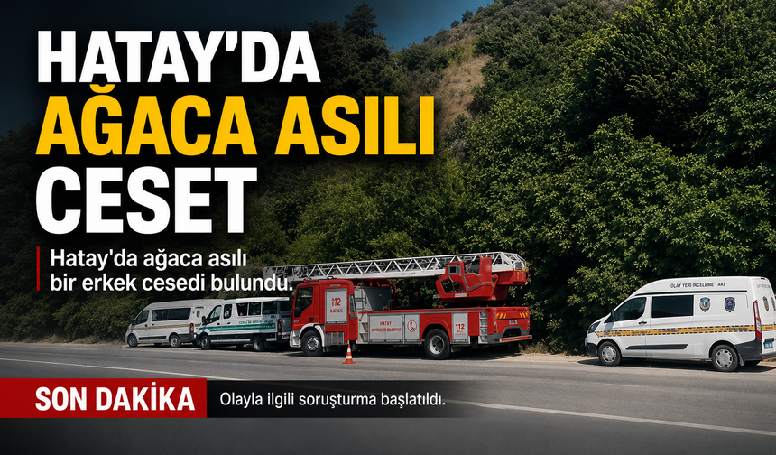 HATAY'DA AĞACA ASILI CESET