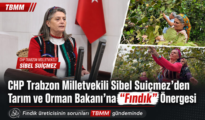 CHP TRABZON MİLLETVEKİLİ SİBEL SUİÇMEZ’DEN TARIM VE ORMAN BAKANI’NA "FINDIK" ÖNERGESİ: