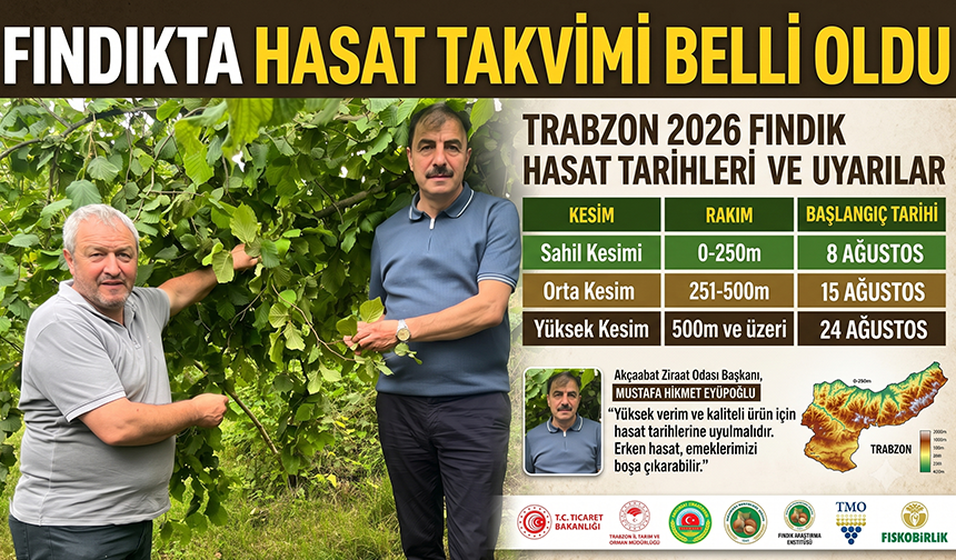 Fındıkta Hasat Takvimi Belli Oldu