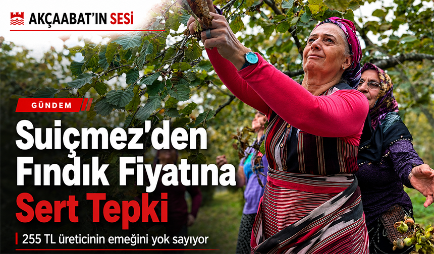 Suiçmez’den Fındık Fiyatına Sert Tepki