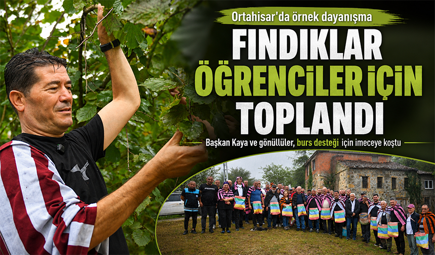 Fındıklar Öğrenciler İçin Toplandı
