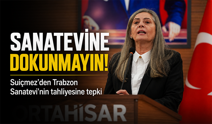 Suiçmez: Sanatevine Dokunmayın