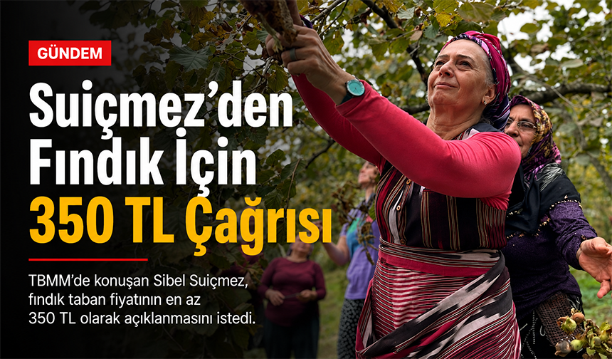 Suiçmez’den Fındık İçin 350 TL Çağrısı
