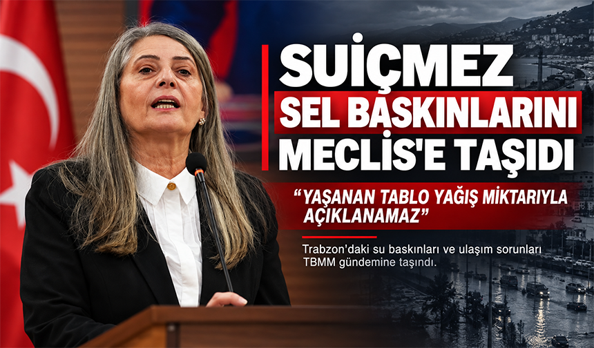 Suiçmez Sel Baskınlarını Meclis’e Taşıdı