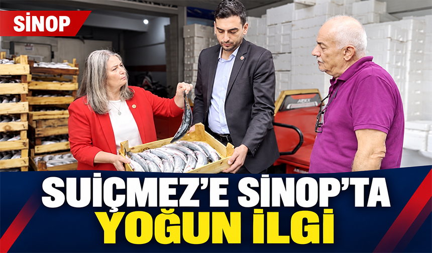 Suiçmez’e Sinop’ta Yoğun İlgi