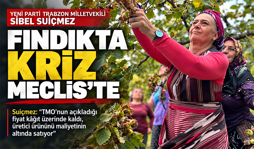 Fındıkta Kriz Meclis’te!