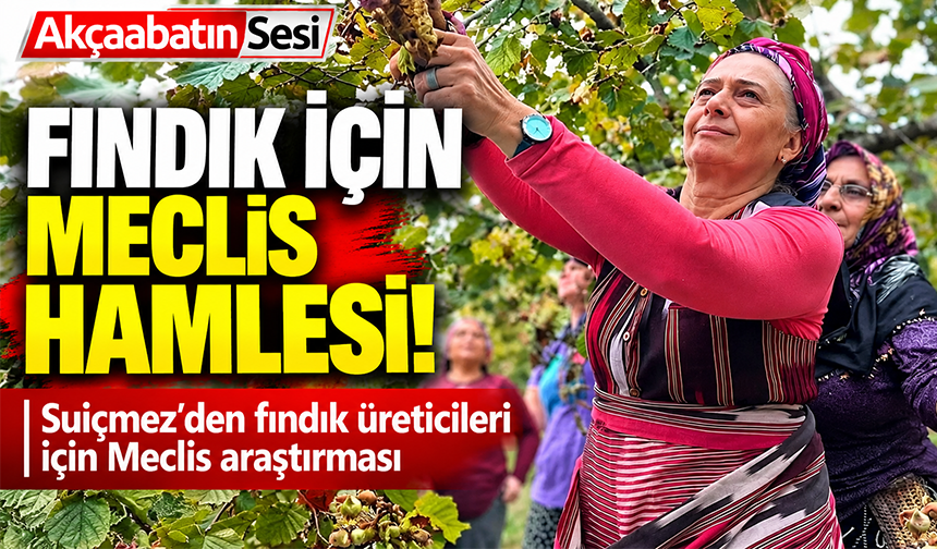 Fındık İçin Meclis Hamlesi!
