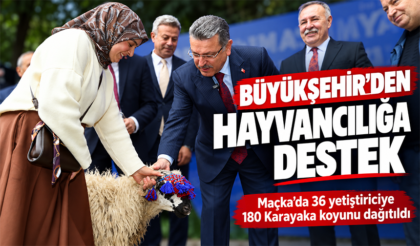 Maçka’da Hayvancılığa Büyük Destek